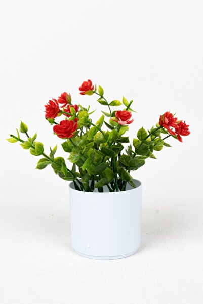 YAPAY ÇİÇEKÇİNİZ Beyaz Mini Saksıda Yapay Çiçek