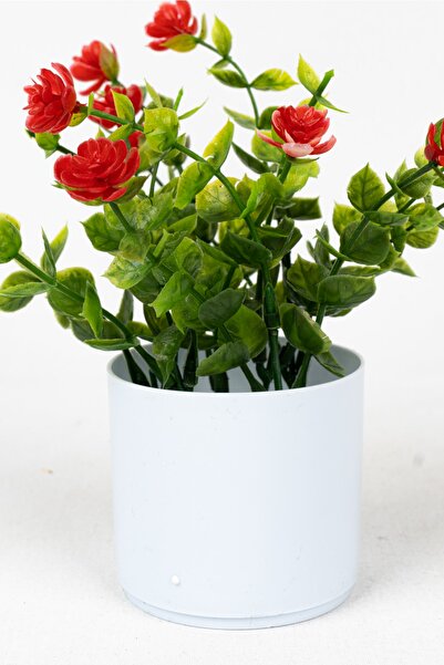 YAPAY ÇİÇEKÇİNİZ Beyaz Mini Saksıda Yapay Çiçek