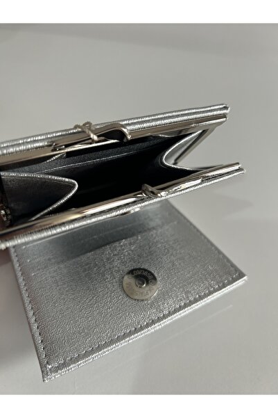 Armine C19 Kadın Cüzdan Gümüş