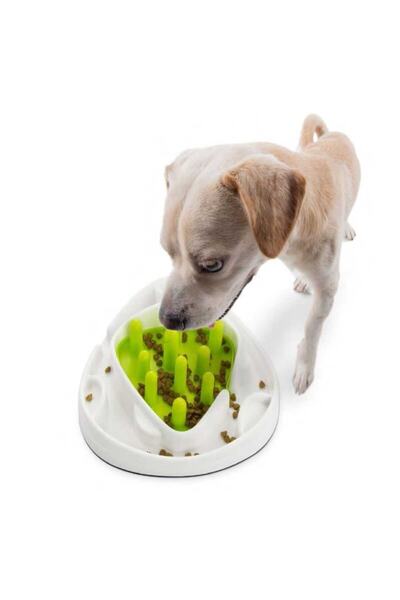 Afp Yavaşlatıcı Mama Kabı 28x28x8 cm