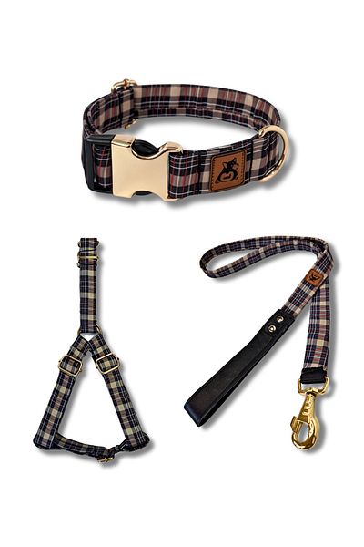 UTDpet Classy Dog Collar Set