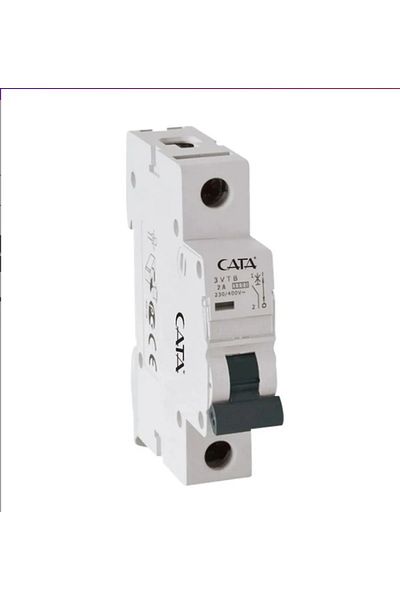 Cata ct-9181 2Ampere Fuse