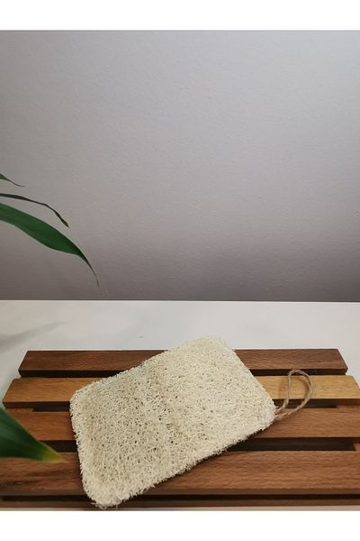 PitrakStore Natural Pumpkin Fiber Dish Sponge 1 Piece PS520