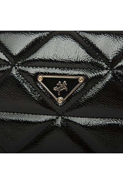 Nas Bag Women's Handbag and Postman Bag (Width: 21 x Length: 16)