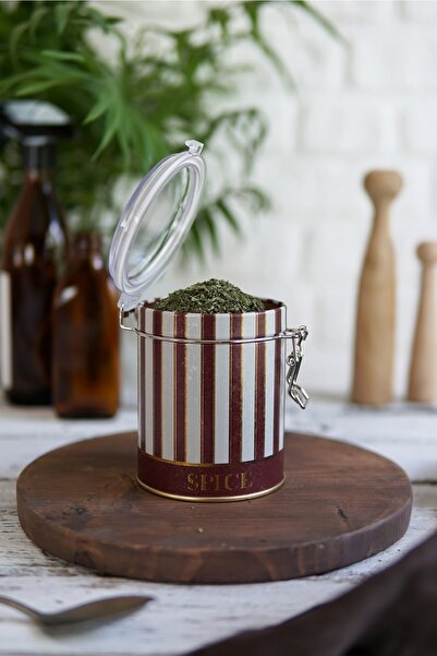 EVLE Er082-1l Circus Spice Desenli Baharatlık 0,6 Lt