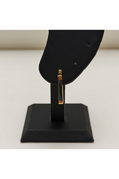 Accessories Altın Kaplama Dikdörtgen Küpe