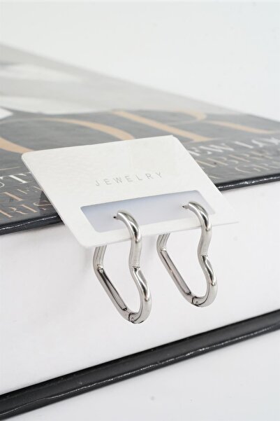 By Zeyna Aksesuar Kadın 316 L Paslanmaz Çelik 2 cm Kalp Model Küpe