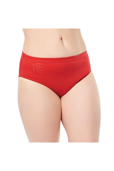 ÇamaşırcımShop Pachet de 12 chiloți din bumbac de culoare uni