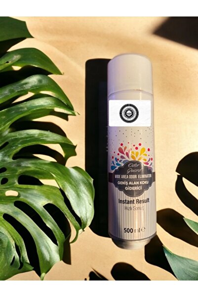 BELLA CAR CARE Geniş Alan Kokusu Klima Temizleyici Kötü Koku Giderici Ev klim...