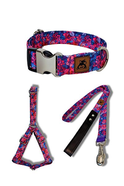 UTDpet Lilac Dog Collar Set