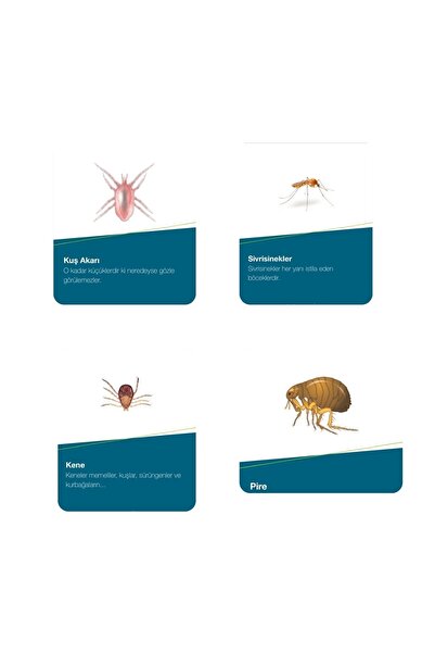 atabay Blotik Bit Pire Kene Uyuz Sinek Ilacı 100ml/skt 2026