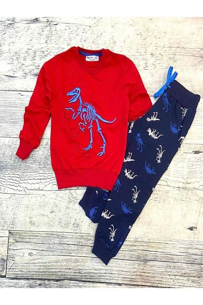 BD kids Boy's Dinosaur Skeleton Embroidered Set of 2
