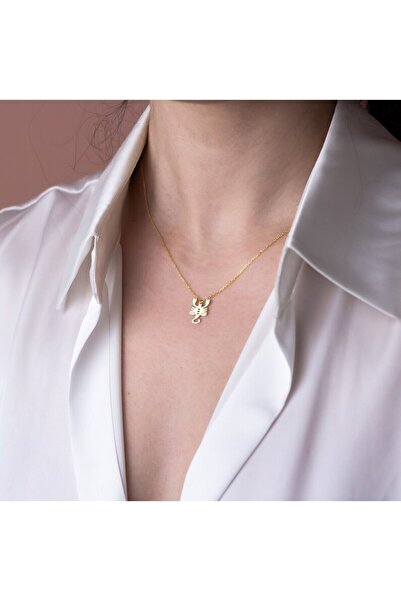 N!da Jewelry 925 Ayar Gümüş Akrep Burcu Kolye