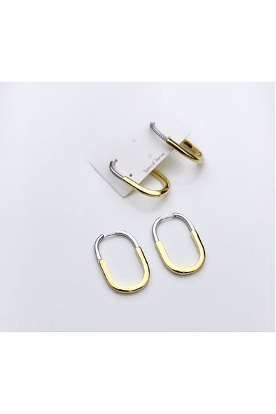 a rose jewelry Steel Lock Model Earrings