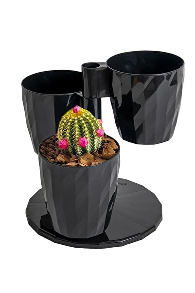 Bliss Serinova Dönence Dekoratif 3'lü Takım Saksı