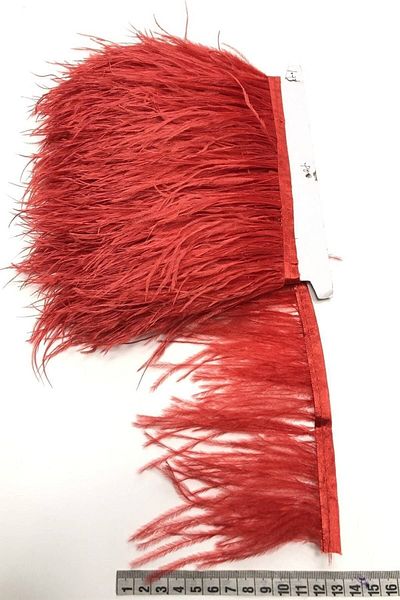 Aker Hediyelik Φτερό σε κορδέλα 90 cm 15 cm