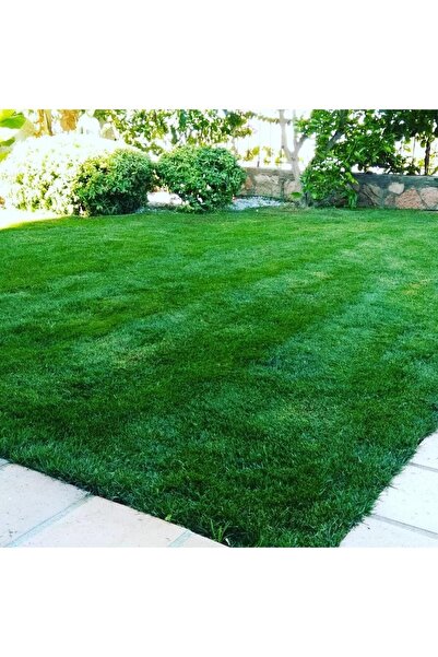 İGSAŞ Üre Gübresi 3 Kg Tartılıp Başka Ambalajda Gönderilecektir