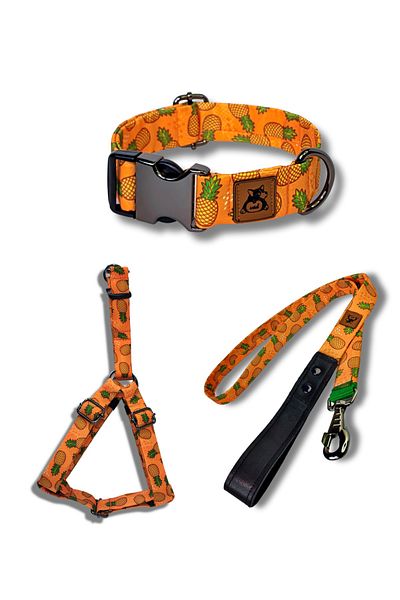 UTDpet Pine Dog Collar Set