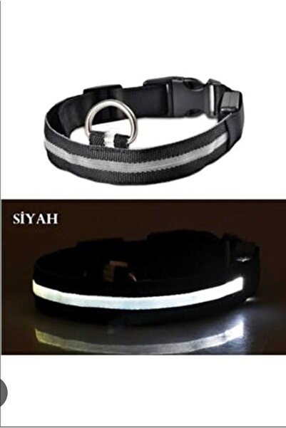 Dalian Home Led Işıklı Fonksiyonlu Boyun Tasması, Ayarlanbilir Led Boyun Tasm...