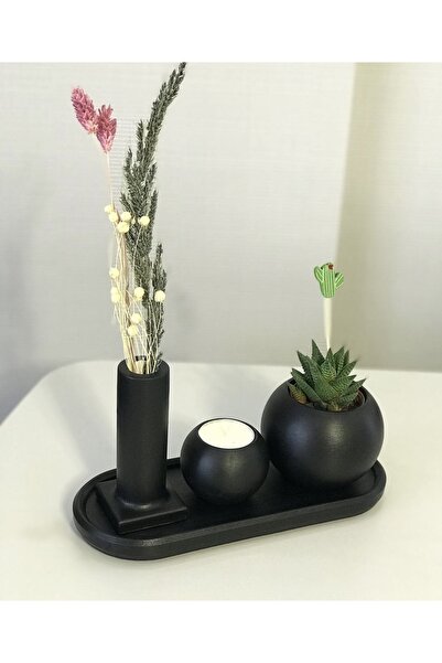 Miya Art Studio Canlı Sukulent Bitkili/Dekoratif Beton tepsi/ tütsülük / teal...