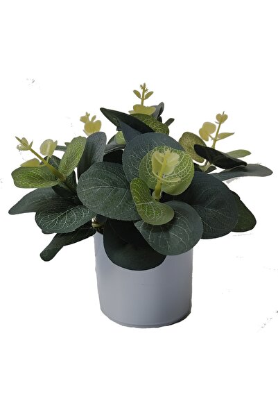 Cennet Home Mini eucalyptus natural textured desktop decorative artificial fl...