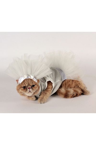 MAXSTYLESPET Cat Dog Dress for Special Occasions - Wedding Dress and Veil