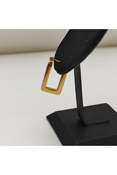 Accessories Altın Kaplama Dikdörtgen Küpe