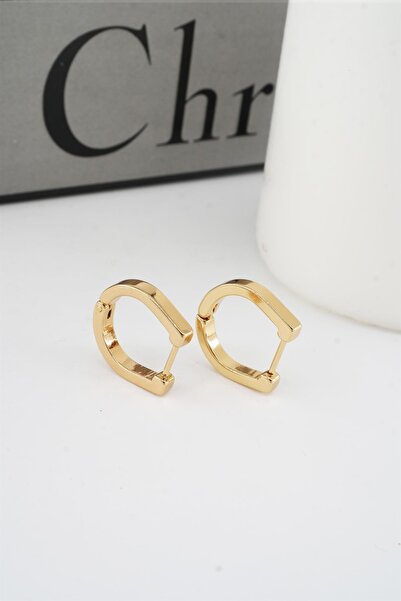 By Zeyna Aksesuar Kadın 316 L Paslanmaz Çelik 1.8 cm Oval Model Küpe