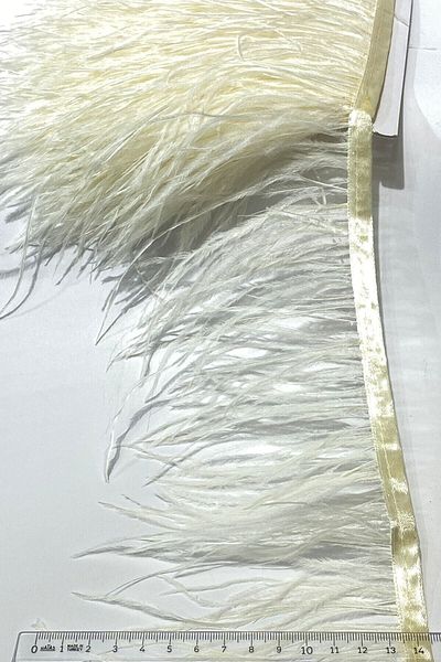 YENİ HEDİYELİK DÜNYAM Unique Model Cream Ostrich Feather 100 cm – Decorative Ribbon