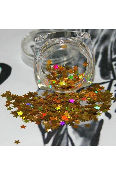hbtasarim Tırnak Süsleme Işığı Yansıtan Parıltılı Yıldız Desenli Pul Nail Art