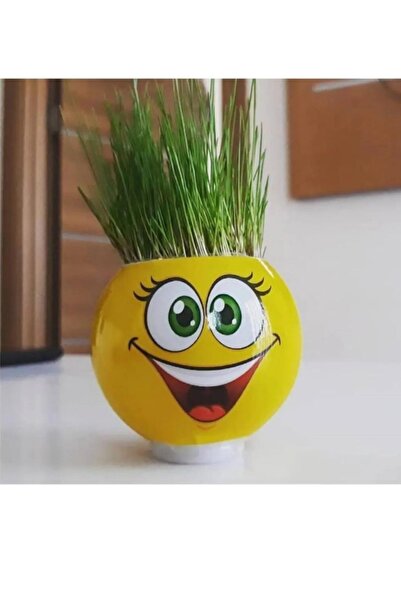 UĞURDAN Emoji Çim Adam 1 Adet