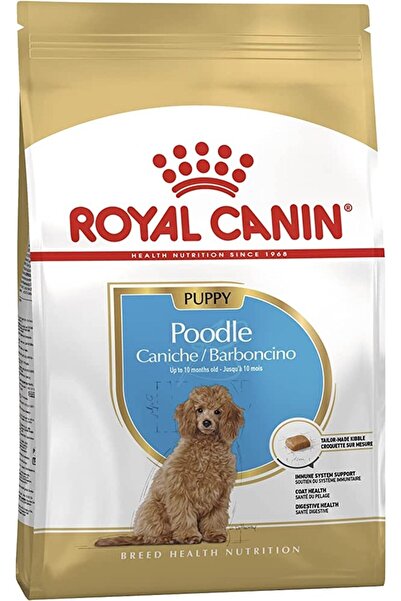 Royal Canin Poodle Yavru Köpek Kuru Maması