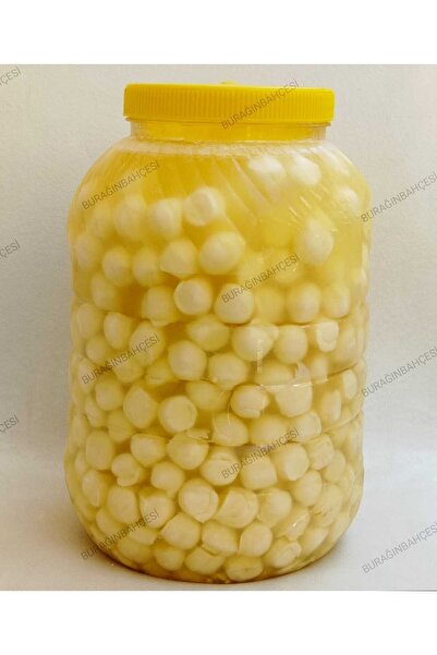 Burağın Bahçesi Elazığ Kaynatılmış Tam Yağlı Süt Damlası Misket Peynir 2900 gr