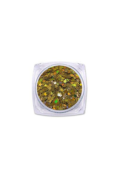 Getshop Alışveriş Pazarı Epoksi Süsleme Glitter Yıldız Pul Gold 5gr