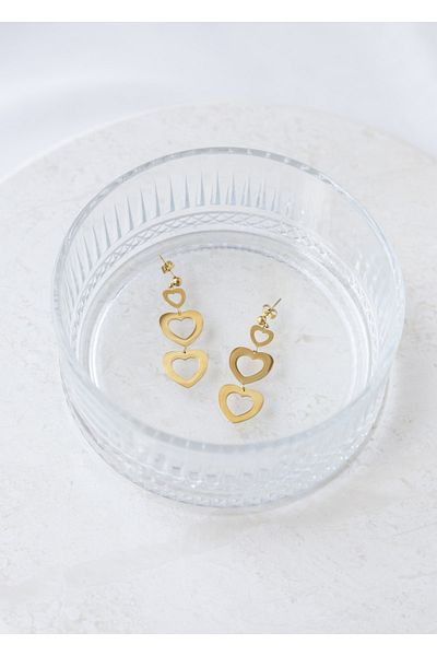 CHARMLUCKY Steel Heart Dangle Earrings