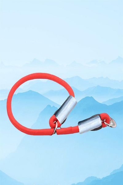 LİDERSAN ÇELİK Dog Training Leash 55 Cm red