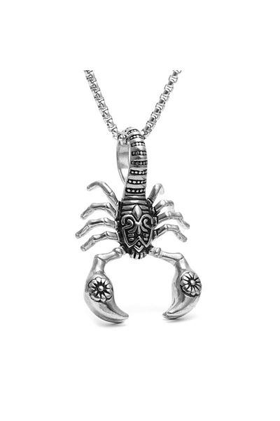 Viking Scorpion Design Gray & Square Chain Steel Necklace