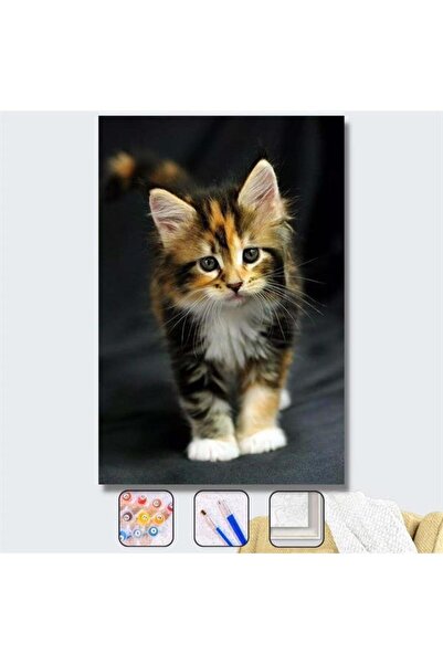 kendinyaphobi Sayılarla Boyama Seti Kasnaklı Yavru Kedicik 40 X 50 Cm