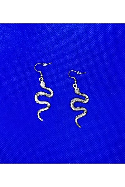 facnspt Favoriconsept - Snake Steel Earring