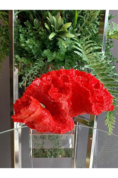 SNM Home Decoration SNM HOME DECORATİON- Dekoratif Polyester Sünger Kırmızı M...