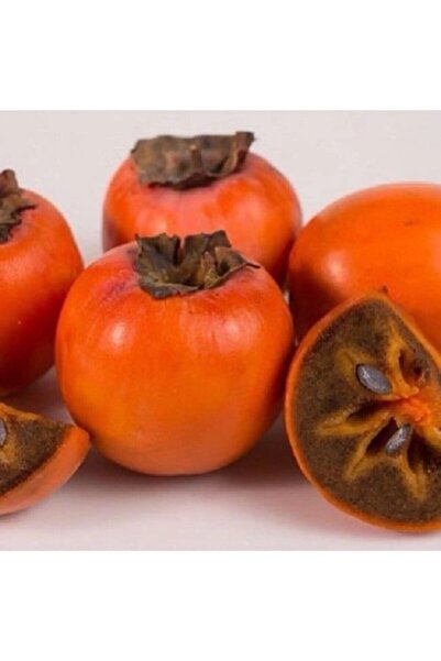 fidanpaketim Hachiya Trabzon Hurması Ağacı