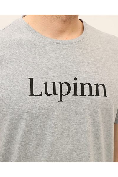 Kübra Tekstil Printed Gray Men's T-shirt