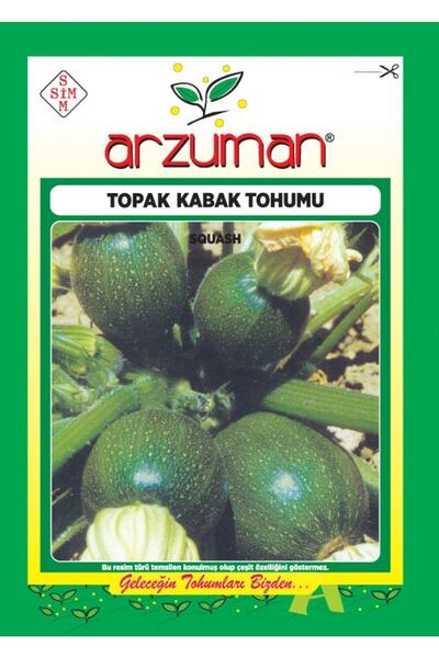 Arzuman Topak Kabak Tohumu (10 GR) Siyah Renk