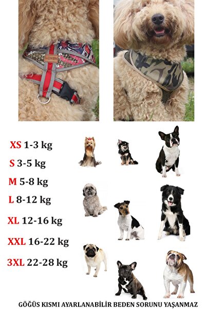 Globodepo Köpek Koşum Kaçış Önleyici Göğüs Gövde Tasması Ayarlanabilir Yakalı Bandanalı Aksesuarlı