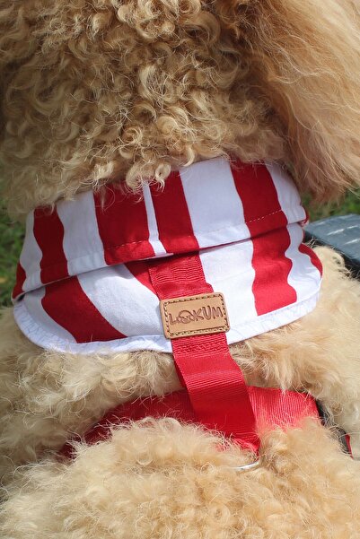 Globodepo Köpek Koşum Kaçış Önleyici Göğüs Gövde Tasması Ayarlanabilir Yakalı Bandanalı Aksesuarlı