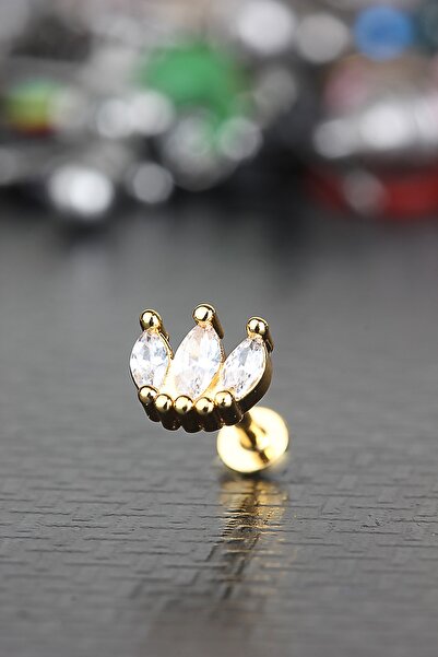 depozoom Yeni Sezon 316L Cerrahi Çelik Kıkırdak Tragus Helix Zirkon Taş Taç L...