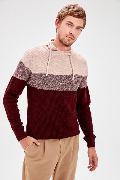 Trendyol Collection Weinroter Strickpullover mit Farbblockdesign und Schalkragen TMNAW20FT0018