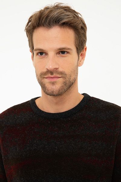 Pierre Cardin Men's Sweater G021SZ0TK.000853598