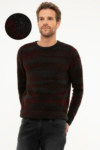 Pierre Cardin Men's Sweater G021SZ0TK.000853598