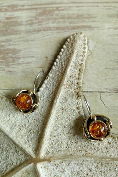 Minimas Et Cie. 925 Ayar Gümüş Ve Baltık Amberi Gizli Geçit Küpe 9710109030006